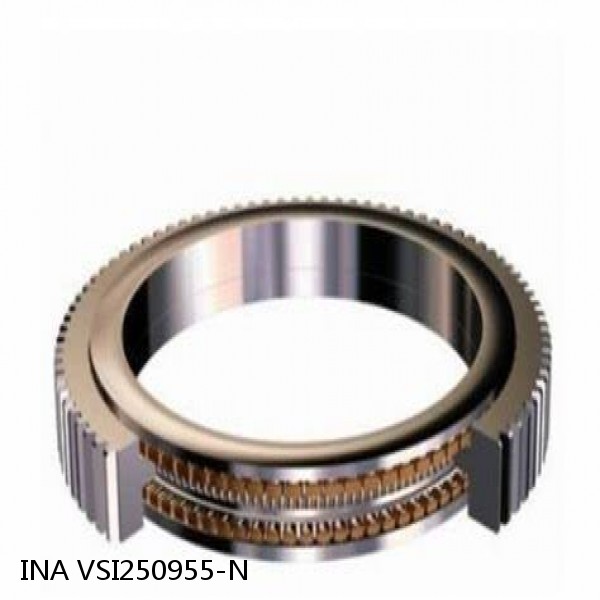 VSI250955-N INA Slewing Ring Bearings