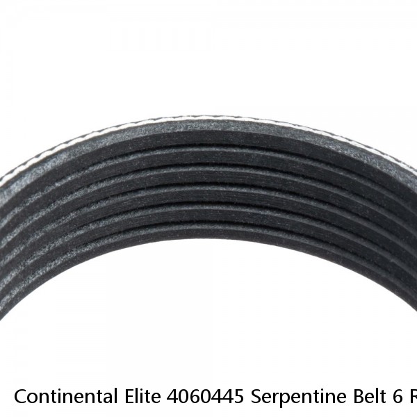 Continental Elite 4060445 Serpentine Belt 6 Rib 44.5 In