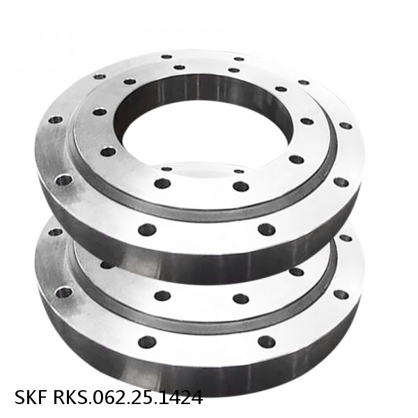 RKS.062.25.1424 SKF Slewing Ring Bearings #1 small image