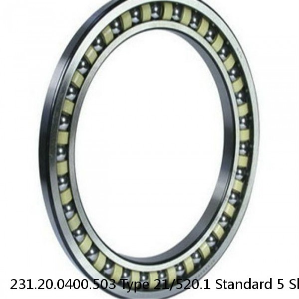 231.20.0400.503 Type 21/520.1 Standard 5 Slewing Ring Bearings #1 small image