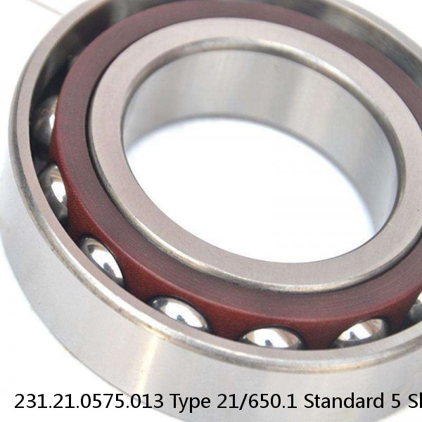 231.21.0575.013 Type 21/650.1 Standard 5 Slewing Ring Bearings #1 small image