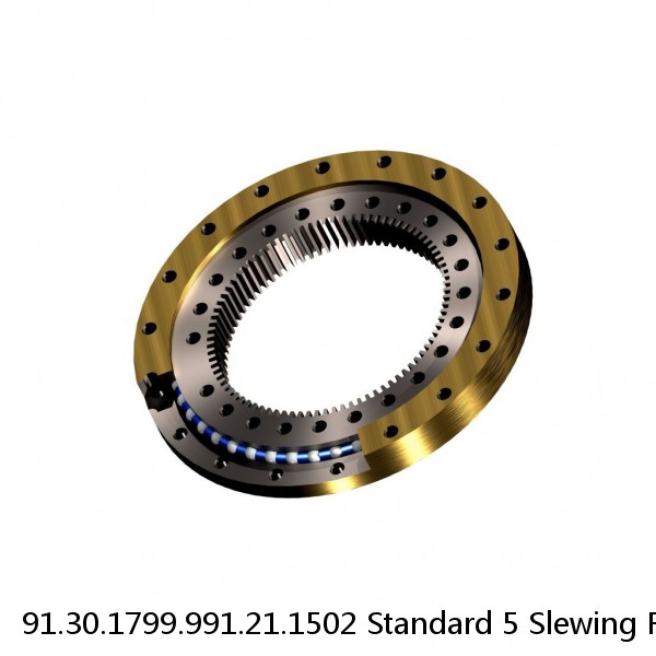 91.30.1799.991.21.1502 Standard 5 Slewing Ring Bearings #1 small image