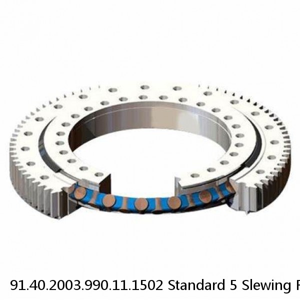 91.40.2003.990.11.1502 Standard 5 Slewing Ring Bearings #1 small image