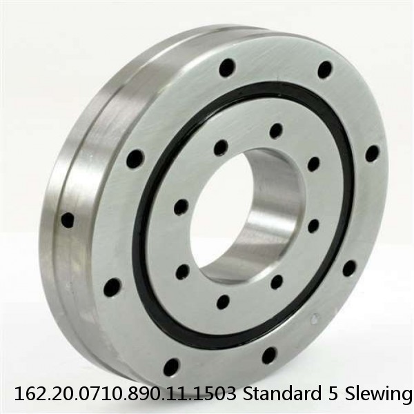 162.20.0710.890.11.1503 Standard 5 Slewing Ring Bearings #1 image