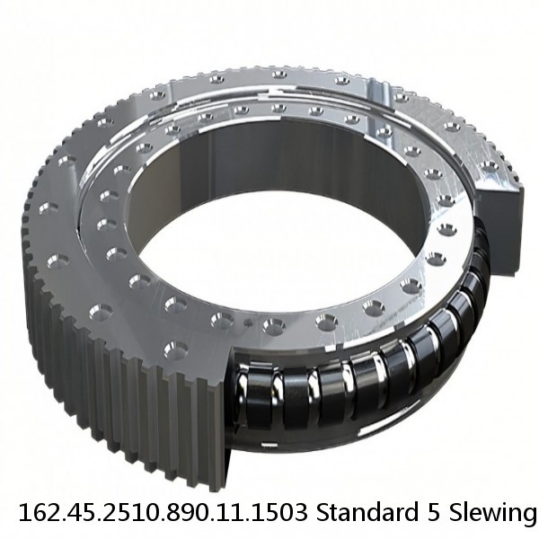 162.45.2510.890.11.1503 Standard 5 Slewing Ring Bearings #1 image